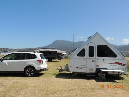 Avan in Hobart Showground